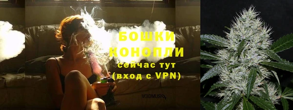 СК Зеленодольск