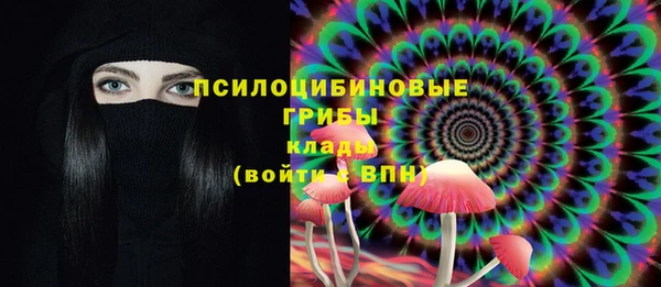 ГАЛЛЮЦИНОГЕННЫЕ ГРИБЫ Заволжск