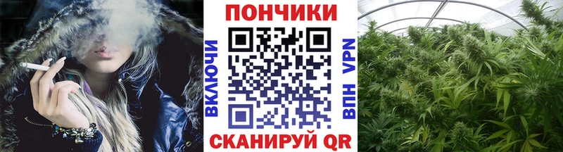Бошки марихуана Amnesia  Жуковский 